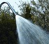 4 spritzige Strahlarten bietet die Schwalldusche Canon Jet Tahiti - ausgezeichnet!
