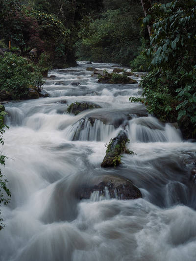 Alle Teilnehmer der PHOTO ADVENTURE COSTA RICA bekommen eine LUMIX DC-FZ82 Bridgekamera mit auf die Reise