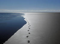 © Hans-Ulrich Rösner / WWF