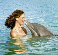 Nicht nur fürs Jawort beliebt: die resorteigene Delfin-Lagune