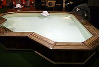 Das Holz f�r einen Yellow Pine Pool ist enorm haltbar