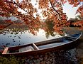 Ein entspannendes Badambiente vermitteln die neuen „Indian Summer Colours“ von Kaldewei Ein entspannendes Badambiente vermitteln die neuen „Indian Summer Colours“ von Kaldewei