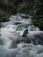 Alle Teilnehmer der PHOTO ADVENTURE COSTA RICA bekommen eine LUMIX DC-FZ82 Bridgekamera mit auf die Reise