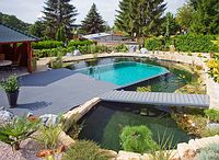 Die Kombination aus Swimmingpool und Gartenteich passt sich perfekt in naturnah angelegte G�rten ein