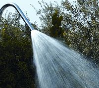 4 spritzige Strahlarten bietet die Schwalldusche Canon Jet Tahiti - ausgezeichnet! 4 spritzige Strahlarten bietet die Schwalldusche Canon Jet Tahiti - ausgezeichnet!