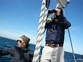 Kapitän auf Zeit auf einer 9 Meter-Segelyacht, von privat gechartert Kapitän auf Zeit auf einer 9 Meter-Segelyacht, von privat gechartert