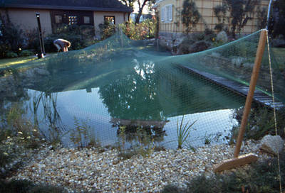 Das Laubschutznetz ist ein Garant für wenig Laub im Teichwasser.