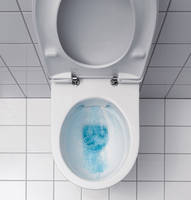Pflegeleicht: Die spülrandlosen Keramag WCs weisen keinerlei verborgene Hohlräume auf