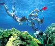 Über und unter Wasser: fantastische und farbenprächtige Perspektiven Über und unter Wasser: fantastische und farbenprächtige Perspektiven