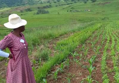 South Africa Drakensberg © Mahlathini Development Foundation / LLBCP