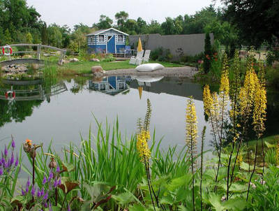 BioNova plant und erstellt individuelle Schwimm- und Badeteiche