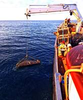 Pferdemuscheln werden auf den Meeresboden abgelassen (Foto: Doggerland Foundation)