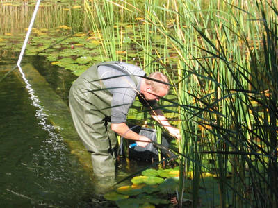 Ein Biotop Naturpool erfordert nur wenig Pflege - hilfreiche Tipps zeigt die neue Broschüre