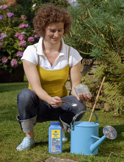 SchlammFrei sorgt auf schonende Weise für klare Verhältnisse im Gartenteich