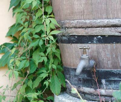 Hanna Vitz, Expertin für Regenwasserbewirt­schaftung bei der Verbraucherzentrale NRW, hat Tipps zur sinnvollen Nutzung von Regenwasser zusammengestellt