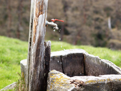 Wertvolles Trinkwasser sparen: Biotop Living-Pools werden nur einmal befüllt und ohne Chemie betrieben