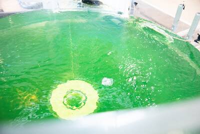 Wie ist das Fließ- und das Absetzverhalten der Schmutzpartikel? Davon wird abhängen, wie der Zulauf im Iserlohner Regenklärbecken gestaltet werden muss. (Foto: FH Münster/Anne Holtkötter)