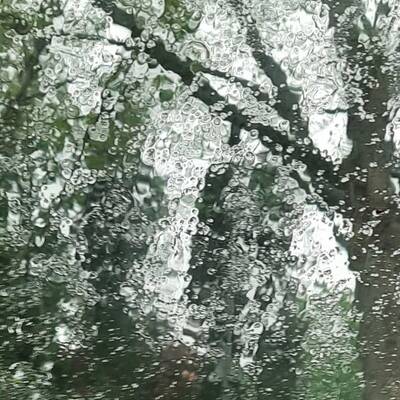 Der tägliche Wasserverbrauchs lässt sich mit einfachen Maßnahmen durch Regenwasser oder aufbereitetes Brauchwasser reduzieren (Foto: aqua-emotion)