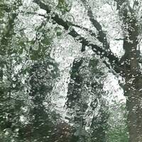 Der tägliche Wasserverbrauchs lässt sich mit einfachen Maßnahmen durch Regenwasser oder aufbereitetes Brauchwasser reduzieren (Foto: aqua-emotion)