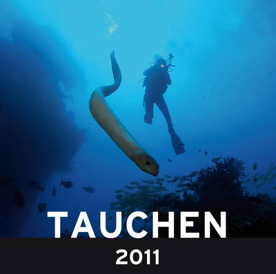 Magie Unterwasserwelt: Best of Travel Group hat neue Tauchgründe im Programm