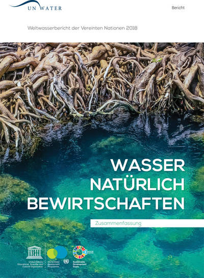 Nur 2,6 Prozent des Planeten sind Feuchtgebiete, doch für den Wasserkreislauf spielen sie eine überragende Rolle. Sie filtern zum Beispiel Giftstoffe und verbessern damit die Wasserqualität